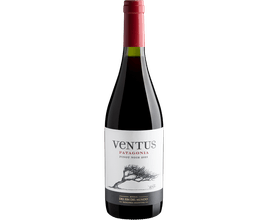 Ventus Patagonia Pinot Noir 2023 750mL