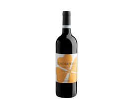 Vinho Tinto Quadrifolia Douro Tinto 2020 750ml