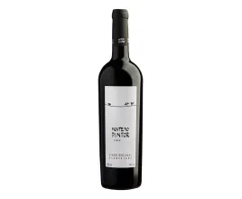 Vinho Monte do Pintor Tn 750Ml